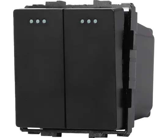 ჩამრთველი Socket Style 2 მექანიკური ორიანი 2G-2W შავი