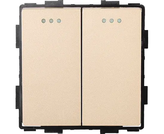 ჩამრთველი Socket Style 2 2G-2W ოქროსფერი