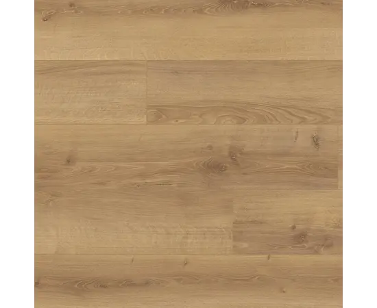 ლამინატი Classen Legacy მუხა Rieti 1285x192x10 მმ AC5/33 4V