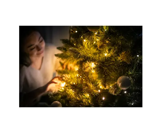 საახალწლო განათება Avatar 50 მ