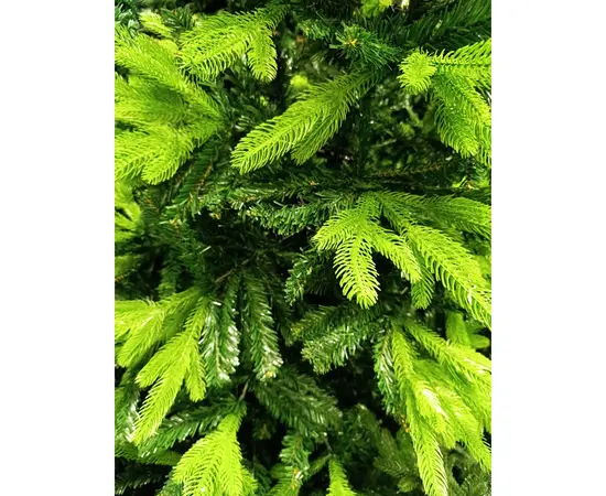 საახალწლო ნაძვის ხე 240 სმ SY-2011H-8