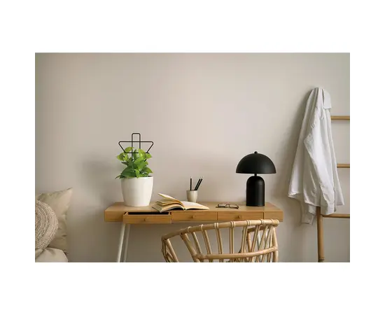 მცენარის საყრდენი Lamela Geometric plant supports - black H-45