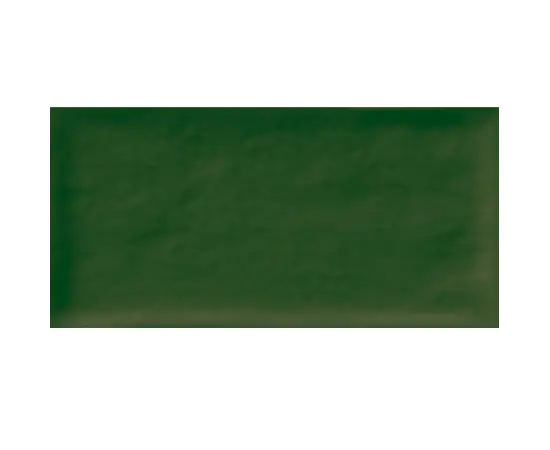 Кафель Super Ceramica AQUA VERDE RTVO 10X20см