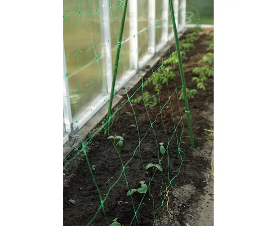 Plant net Bradas 8g/m2 2х10m