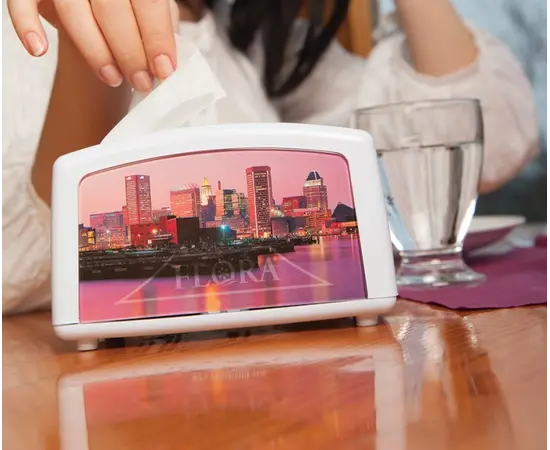 Dispenser for napkins FLORA 16815 F030