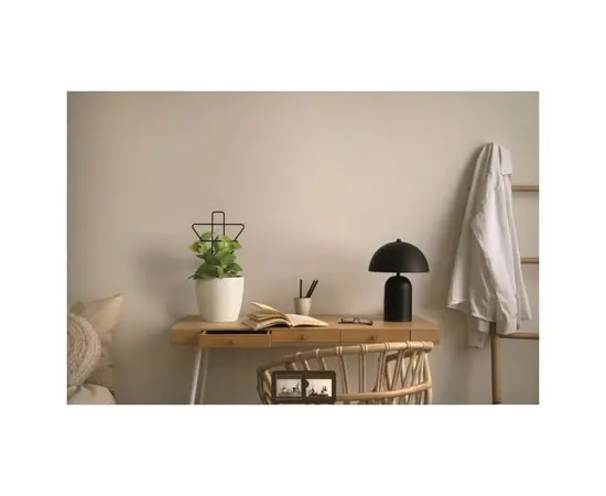 მცენარის საყრდენი Lamela 550 geometric plant supports - black