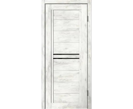 Door block Fly Doors PVC BARN B06 alpine fir 36x700x2150 mm black glass