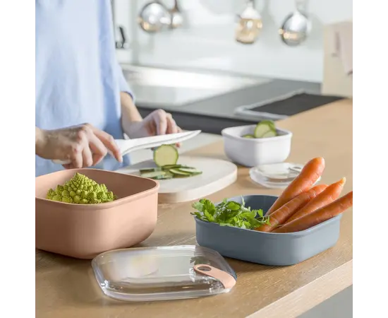 პლასტმასის კონტეინერი  Rotho ELA ლურჯი 0,425 ლ