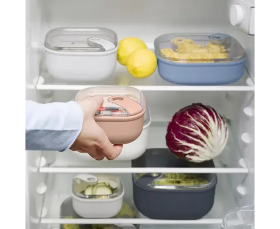 პლასტმასის კონტეინერი Rotho ELA flat ლურჯი 1 ლ