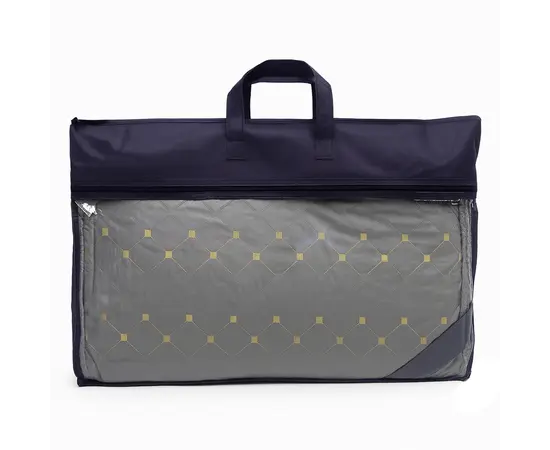 Pillow 2 pcs 50x70 cm B0991