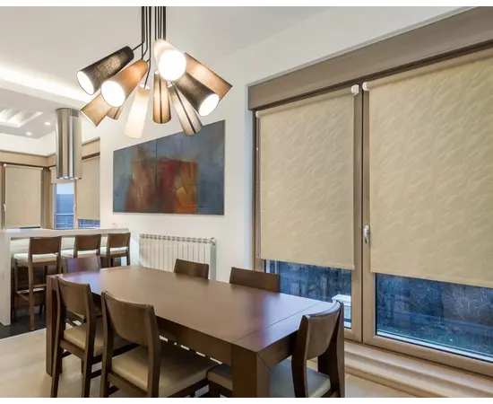 Roller shade Delfa СРШ-01МЭ-839 52x170 cm