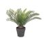 Palm in black pot artificial Koopman 30 cm