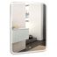 Mirror Silver Mirrors Steve 685x915 mm, touch switch
