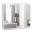 Mirror Silver Mirrors Steve 800x680 mm, touch switch