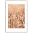 Picture in frame Styler Grasses II AB079 50X70 cm