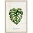 Picture in frame Styler Monstera FP037 50x70 cm