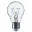 Incandescent lamp Linus Lin4-4227 PS55 100W E27