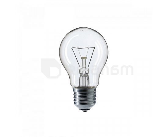 Лампа накаливания Linus Lin4-4227 PS55 100W E27